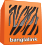 banglalink logo